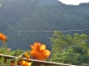 Zipline de Bohol