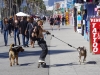 Venice beach