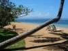 La plage de rêve, sable blond et cocotiers