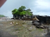 Tanah Lot, le temple sur un rocher