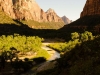 Angels Landing : redescente vers la valée...